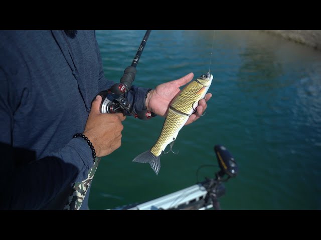 Leurre Gan Craft Jointed Claw 303 Shaku - Flottant Lent - AS-16 - Pêche En Mer