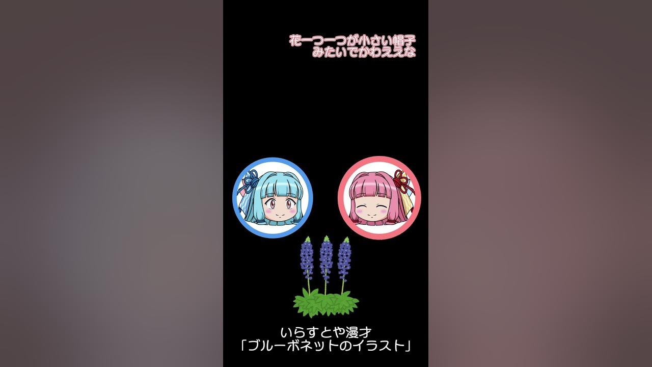 琴葉姉妹いらすとや漫才 ブルーボネットのイラスト Shorts Youtube
