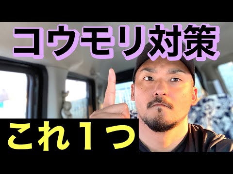 【コウモリ対策】誰でも出来るたった１つのコウモリ対策はこれ！