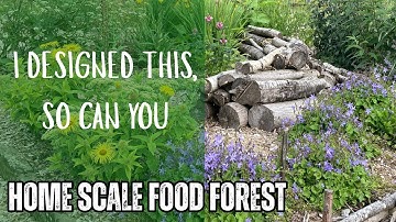 How I designed my backyard food forest (step by step)