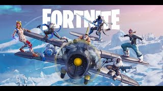 Fortnite with friends