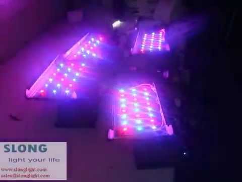 LED Wall washer, LED bars