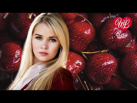 Пьяная Вишня Хиты Шансона Для Танцпола Wlv Песня Зажигалка Russische Musik Russian Music Hits