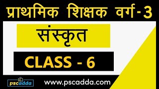L6 - प्राथमिक शिक्षक संविदा वर्ग 3 // संस्कृत // संज्ञा प्रकरण // Varg 3 Sanskrit - PSCADDA