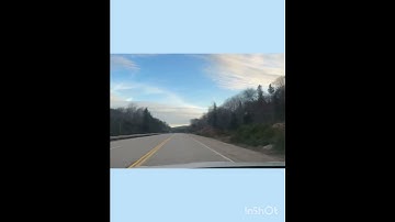 Thumbnail of song#beauty#nature #sky#niceview #road #trees #hindisong #love