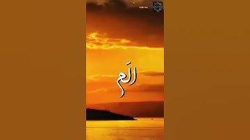 حالات واتس اب قرآن كريم سورة البقرة بصوت القارئ ماهر المعيقلي | آيات تريح النفس | Surah Albaqarah