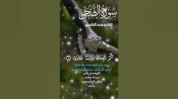 تلاوة خاشعة عطرة مباركة جميلة عذبة للشيخ سعد الغامدي سورة الضحى