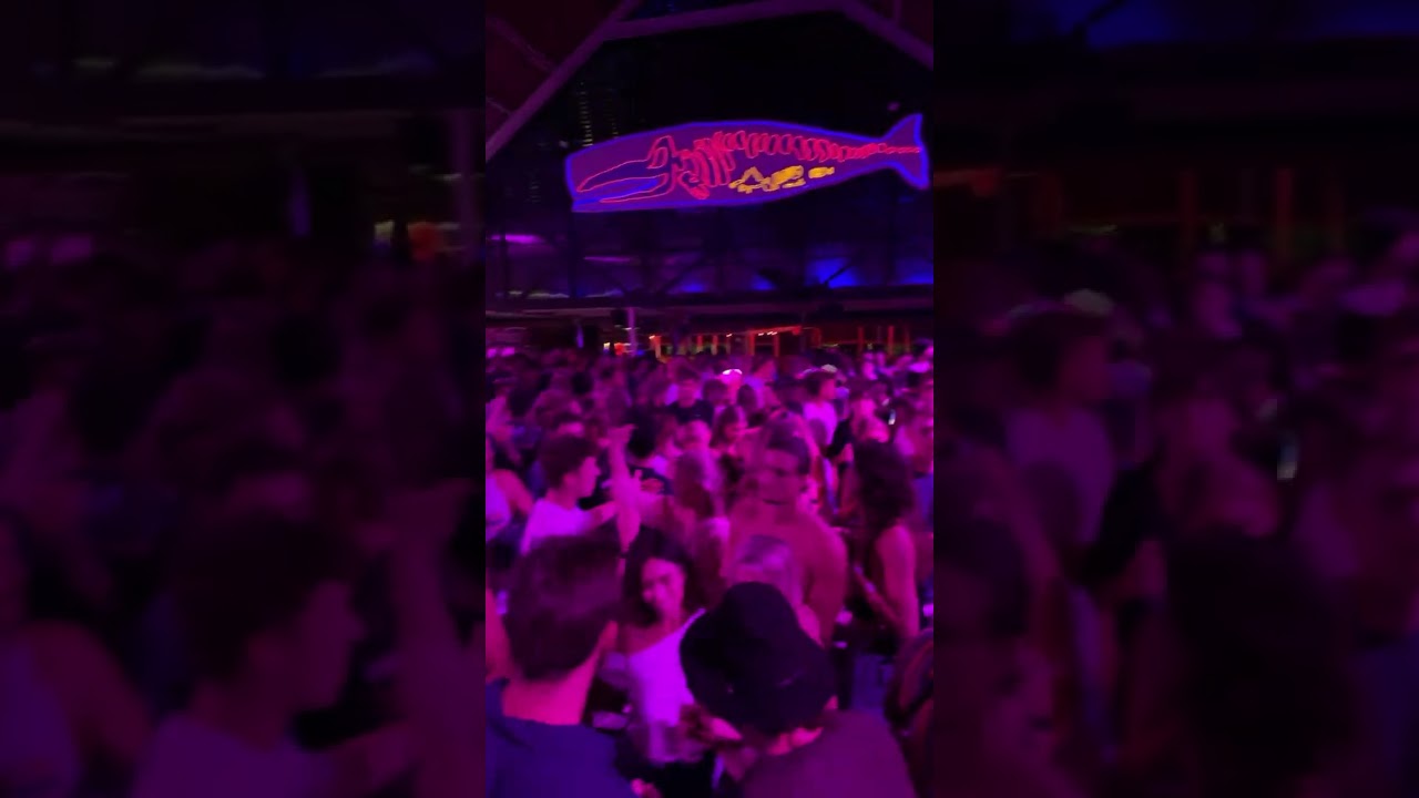 Happy DJ Vibes - this guy is feeling it 🕺 House Club vibes 🎉 