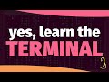 Is the terminal still worth learning?