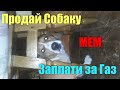Мем - Продай собаку Заплати за газ /ЕЛІТНА СОБАКА/