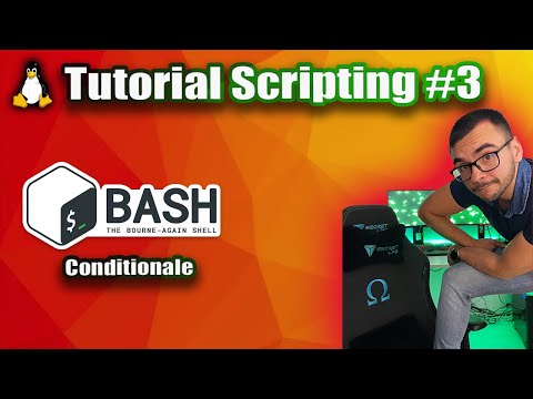 Conditionalele sunt baza | Tutorial Bash Scripting #3
