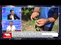 "Σκανάρουν" από αέρα τα χωράφια για την εικόνα των καλλιεργειών που επλήγησαν από περονόσπορο