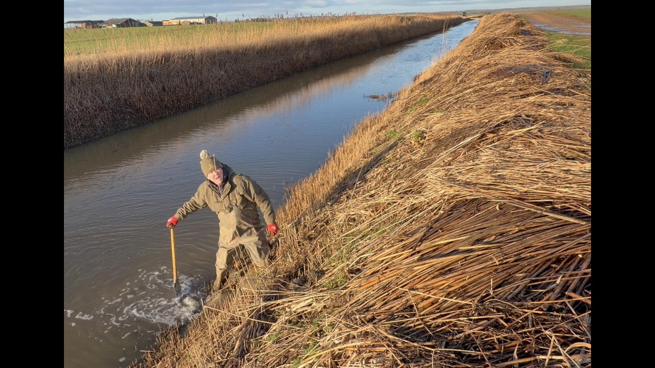 В основном дамбы — управление водными ресурсами на уровне моря.