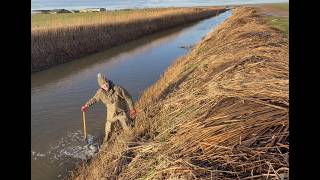 MOSTLY DYKES - WATER MANAGEMENT AT SEA LEVEL