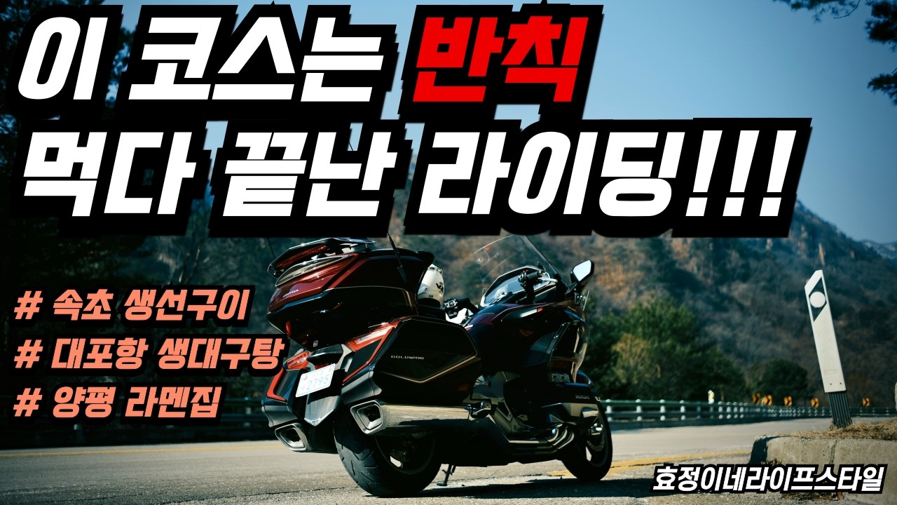 이 코스는 반칙, 먹다끝난 라이딩!!! / 속초 생선구이, 생대구탕 맛집 / 양평 라멘 맛집 / 골드윙DCT