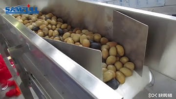 Samfull net bag potato onion packing machine