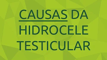 O que causa a hidrocele?