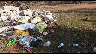 Neden Heryere Çam Di̇ki̇li̇r ❓❗