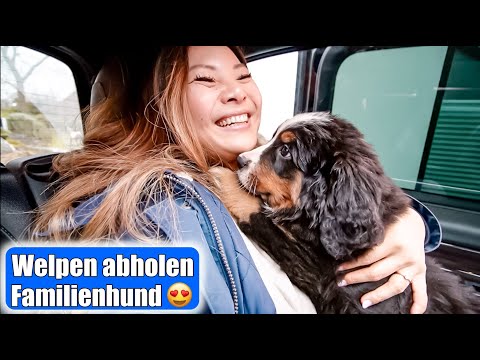 Video: Polizeihund Jethro, der das Begräbnis eines Helden für seinen bedingungslosen Dienst und sein Opfer gegeben hat