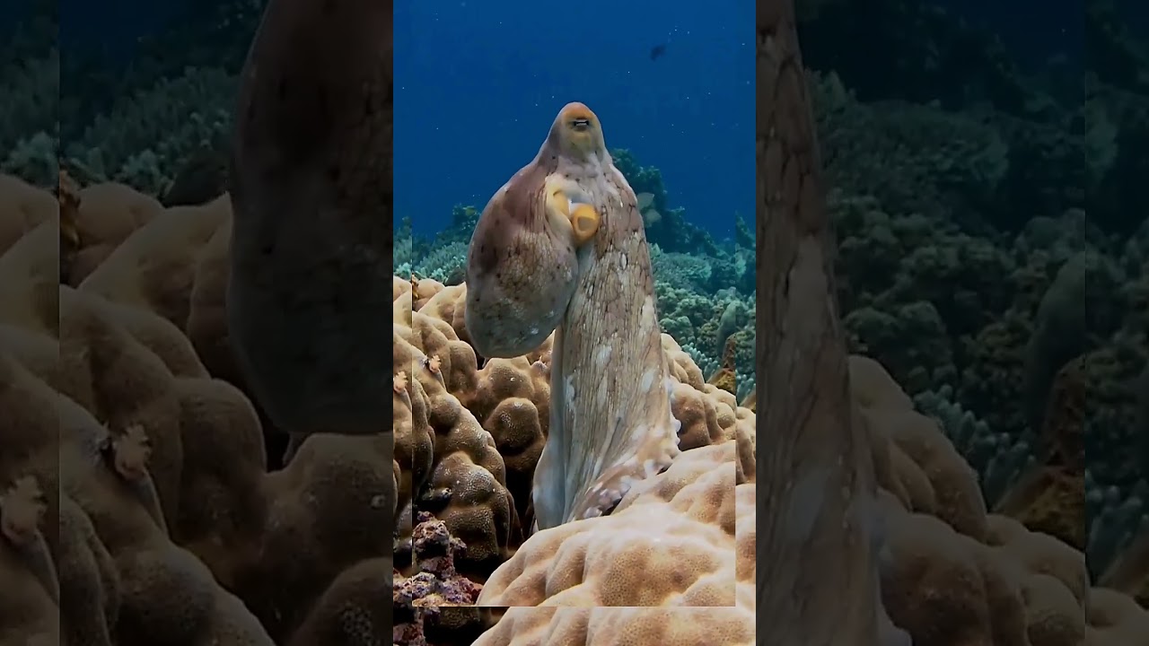 Unbelievable Science Experiments | Amazing Reactions Ever!