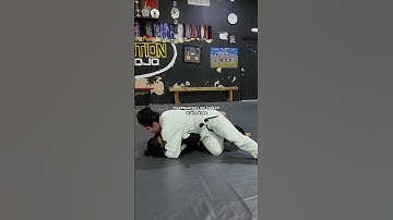 👏🏽 Knee Cut Pass from HQ | Headquarters Guard Pass #jiujitsu #jiujitsulifestyle #jiujitsugirl