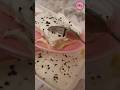 حلى بارد بدون قشطة سهل وسريع الحلى الأبيض اكسبلور Explore حلى بارد بدون قشطة سهل وسريع الحلى الأبيض اكسبلور Explore