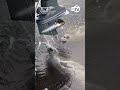 Manatees turn boat into water fountain