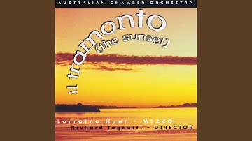 String Quartet in E minor arranged for string orchestra: II. Andantino