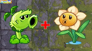 挽植物大戰僵尸2 | Super Plants Max Power Up  [ PRIMAL PEASHOOTER vs NARCISSUS ]