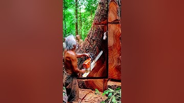 Snake Escapes From Tree Core! #woodworking#chainsaw#treecutting