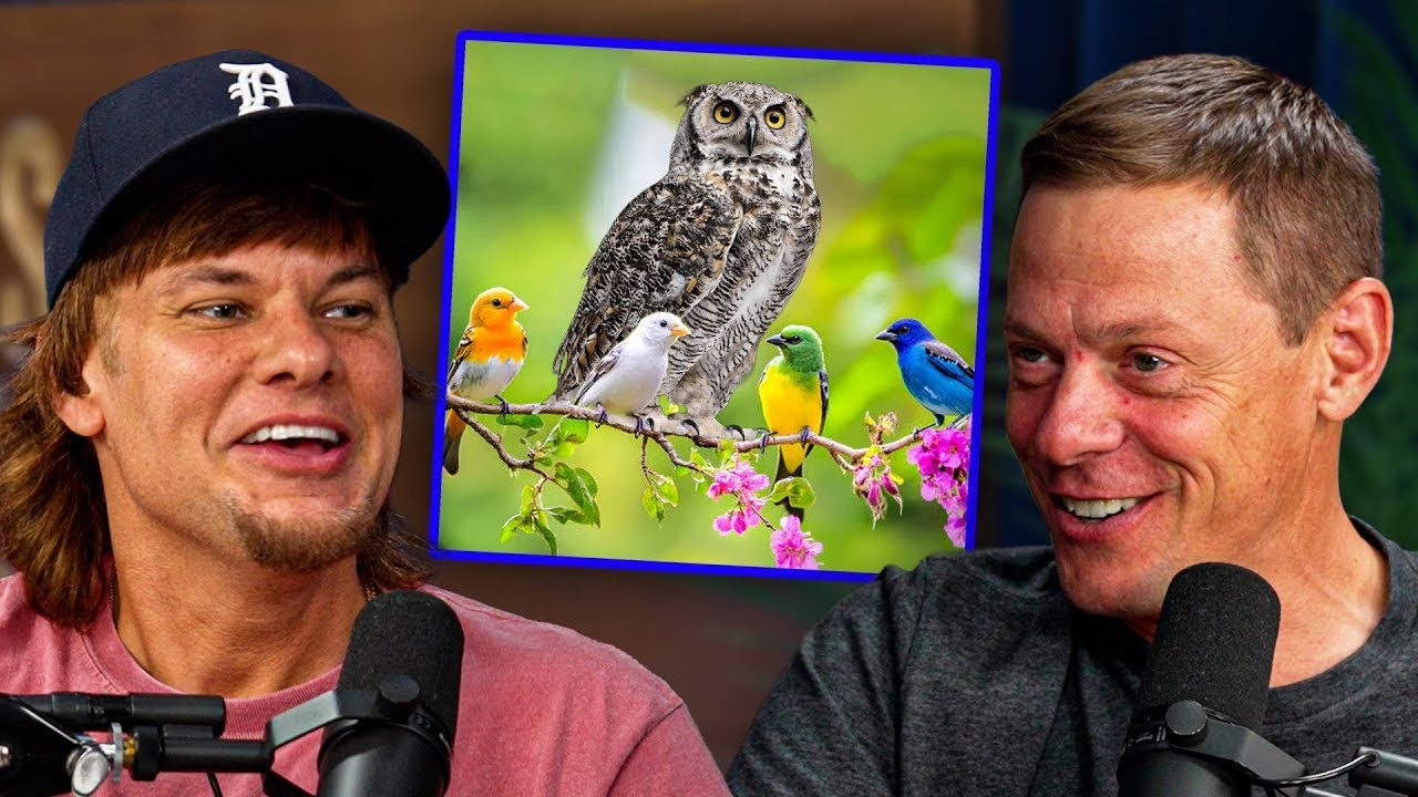 Going Deep on Birds and Bird Calls (w/ Steven Rinella)