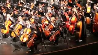 Jenny Lin 2016 Summer Concert Symphonic Orchestra Millenium by Richard Meyer