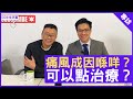 痛風成因喺咩？可以點治療？鄭丹瑞《健康旦》風濕科專科 #何智醫生  (CC中文字幕)