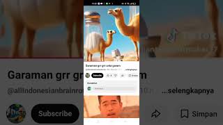 maraman grr grr unta garam