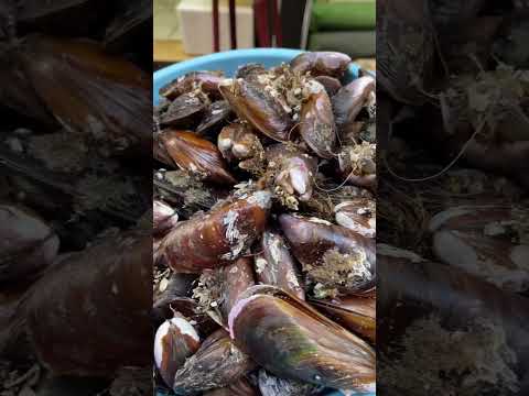 اسماك تكلها وانت مطمن فسفور عالي