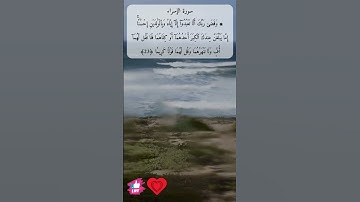 وقضى ربك ألا تعبدوا إلا إياه وبالوالدين إحسانا | سورة الإسراء #دعاء_ورسالة