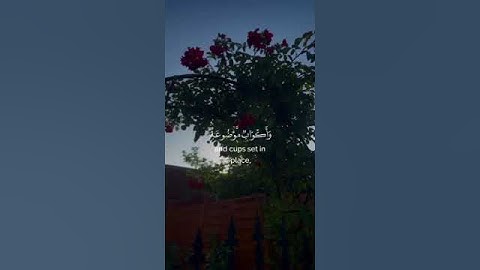 في جنة عالية لا تسمع فيها لاغية ｜ سورة الغاشية الآية 11 – #قران #اكسبلور #تلاوة #راحة_نفسية #راحة