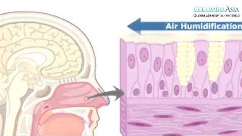 How can one prevent asthma symptoms after exercise? Dr Shivaraj, Columbia Asia Hospitals