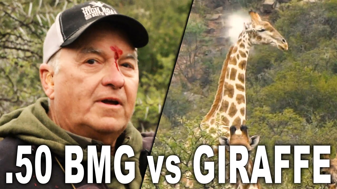 .50 BMG vs GIRAFFE | Getting scoped by a .50 BMG's Banner