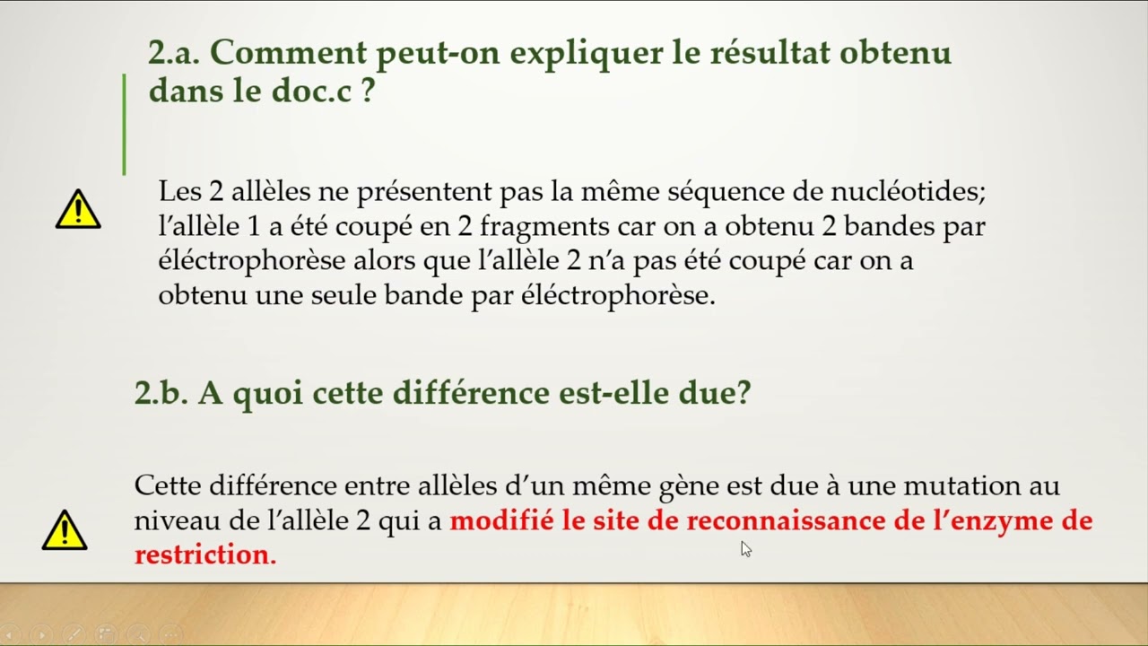 Electrophorèse sur gel (suite)- SV- Génétique- Chapitre 3- Document 4