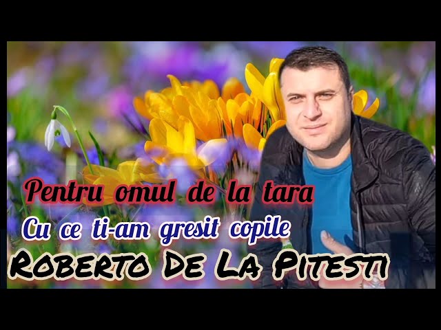 ROBERTO DE LA PITESTI 💢 COLAJ 2024💢 PENTRU OMUL DE LA TARA / CU CE TI-AM GRESIT COPILE class=