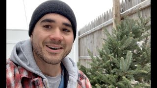 How to Compost your Christmas Tree!