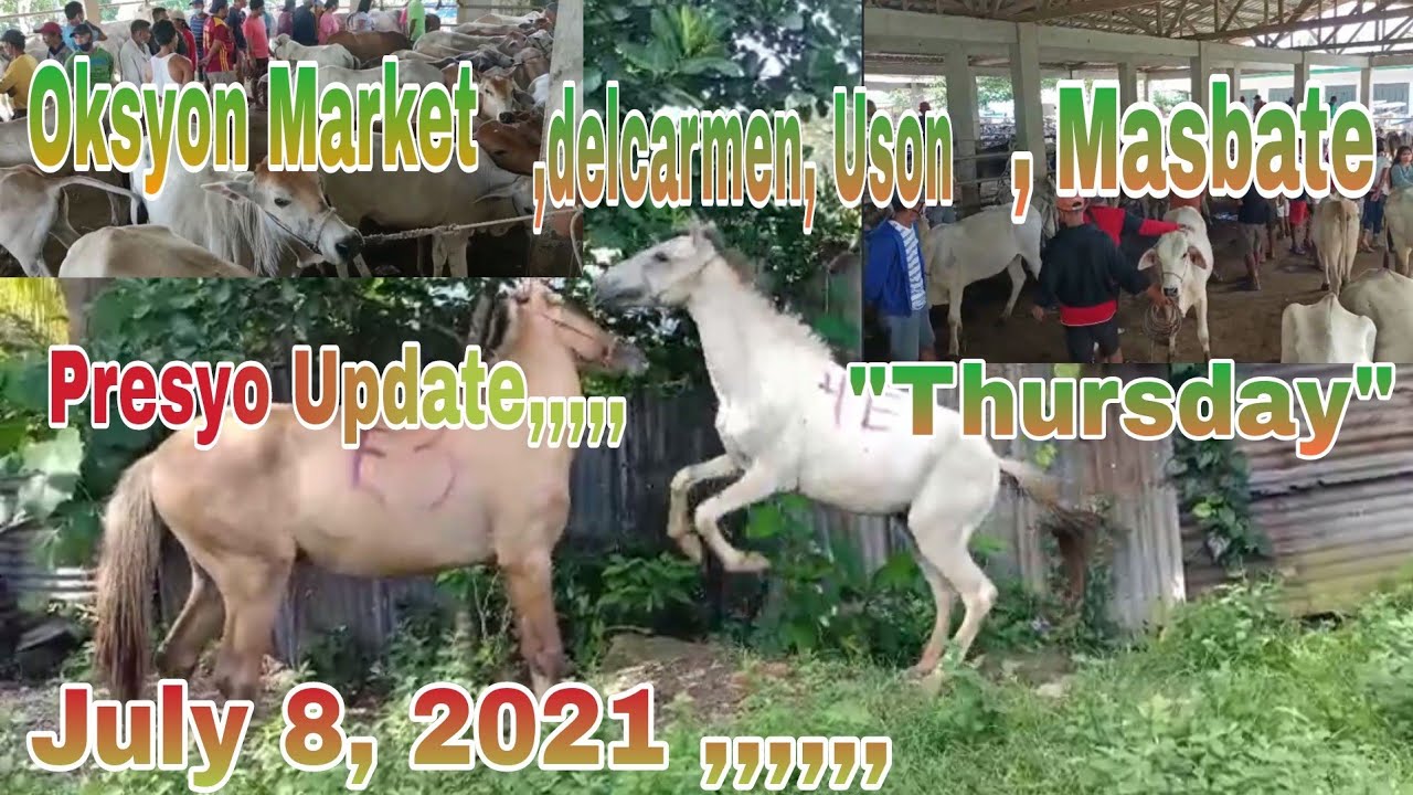 Presyo Ng Baka, Kabayo, at kalabaw / Oksyon Market livestock Uson