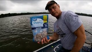 Catfishing With Shrimp From Walmart