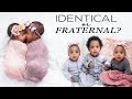 DNA Test Reveal! Are the Triplets IDENTICAL or FRATERNAL ?