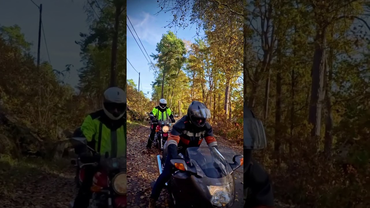 17 hojåkare, Smådalarövägen vid Rosenön 