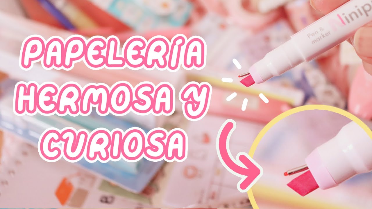 Papelería que no sabías necesitabas! 💓 MEGA HAUL | StationeryPal