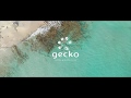 Gecko hotel  beach club formentera