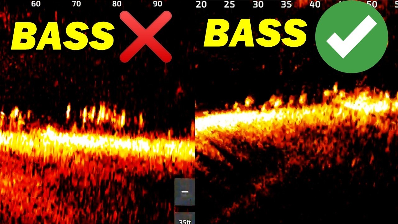 Read Bass on Livescope – Fish Relating to the Bottom