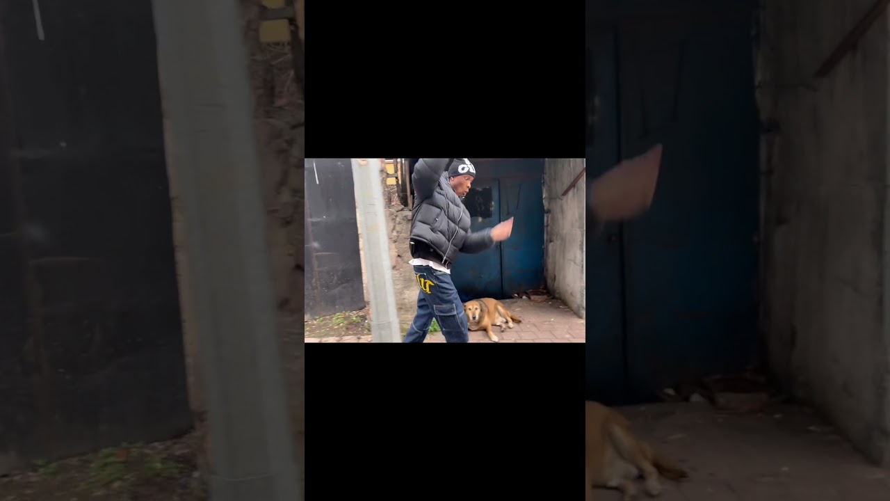 This Guy is scared of Dogs just wait for his reaction😂 (via tt @paula.ptrc)